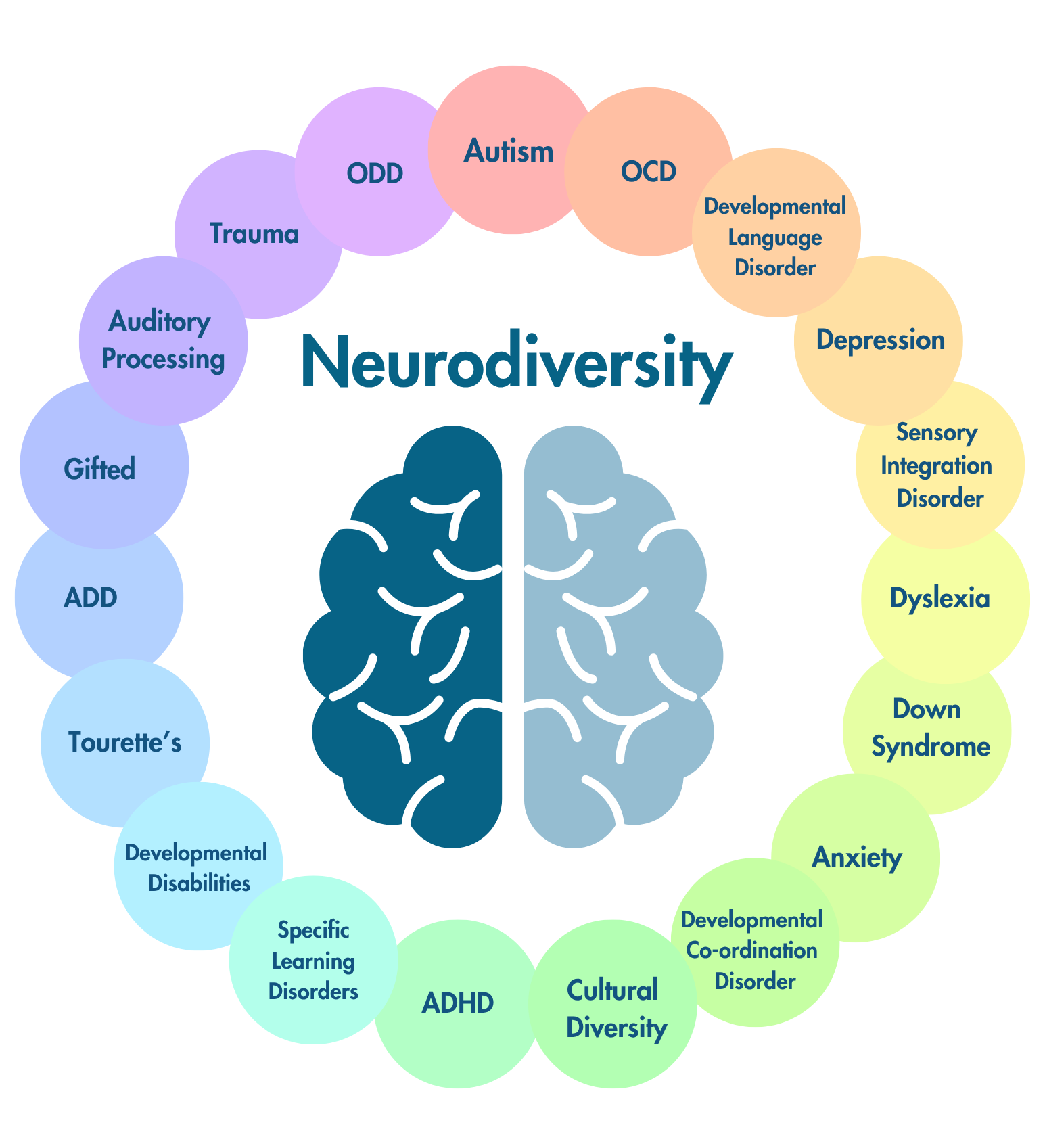 Neurodiversity Examples What is Neurodiversity? – Autism RMWB
